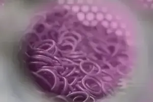 Image of O-rings to depict low friction plasma coating